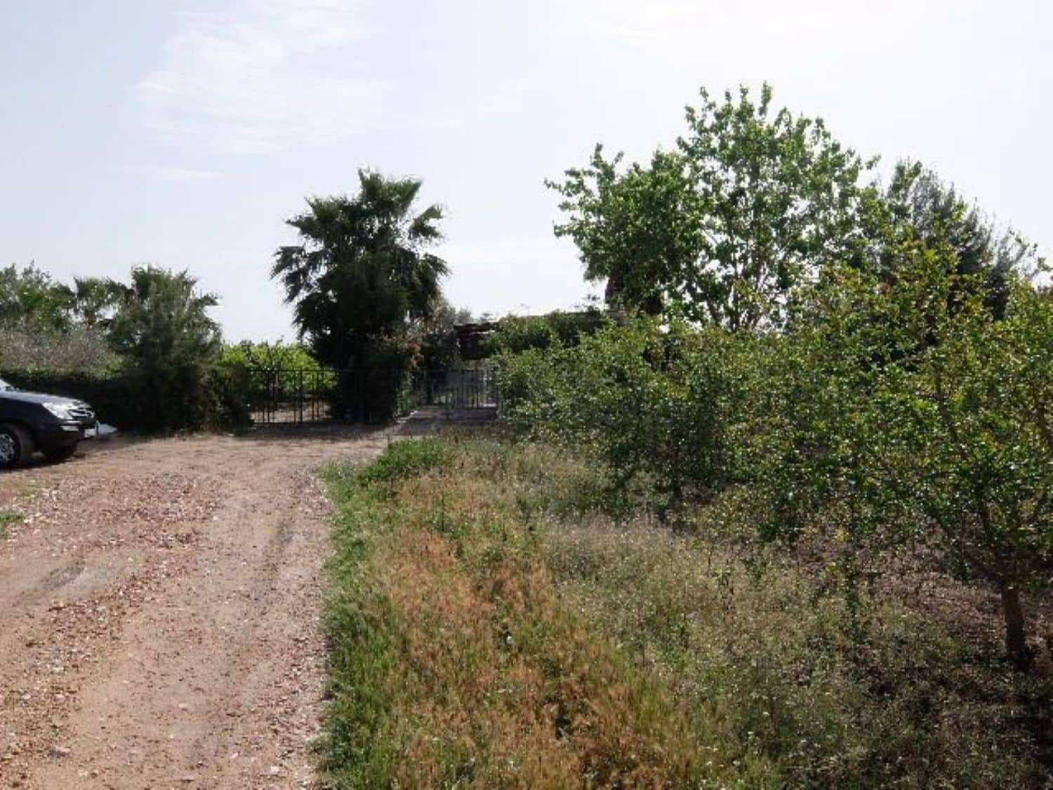 Grunde uden byggetilladelser til salg i Benejuzar - € 49.000 (Ref: 4072365)