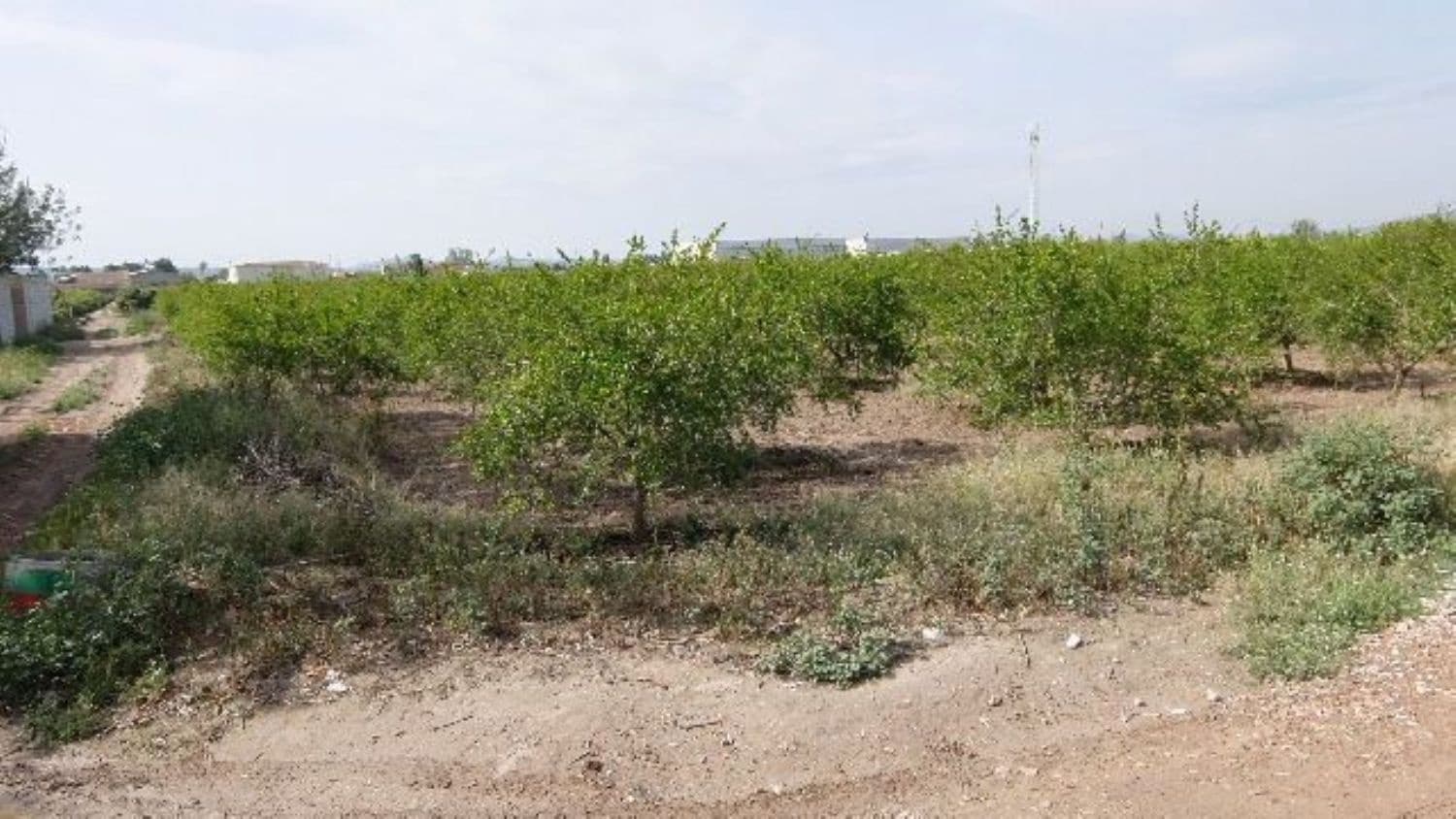 Grunde uden byggetilladelser til salg i Benejuzar - € 49.000 (Ref: 4072365)