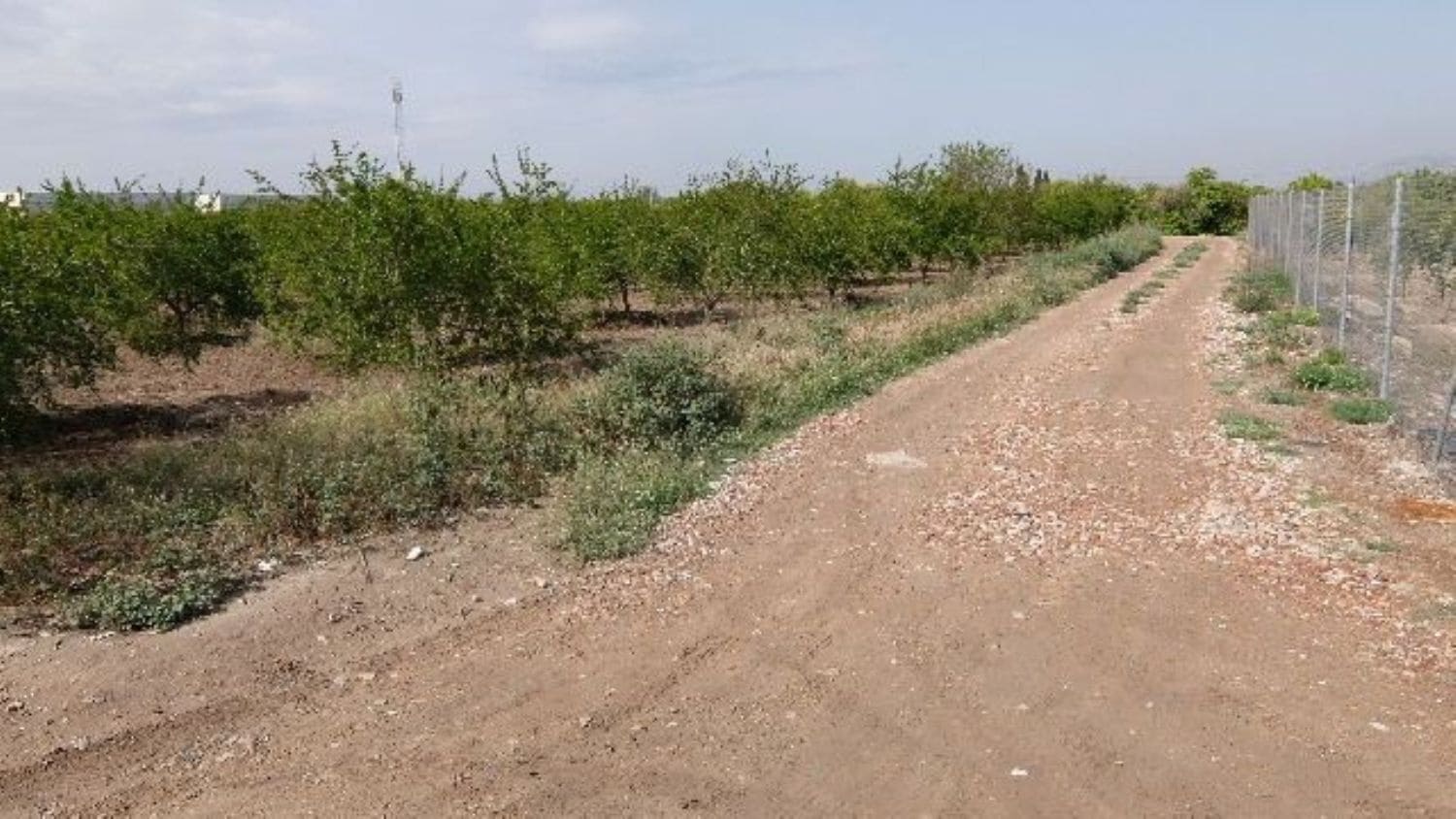 Grunde uden byggetilladelser til salg i Benejuzar - € 49.000 (Ref: 4072365)