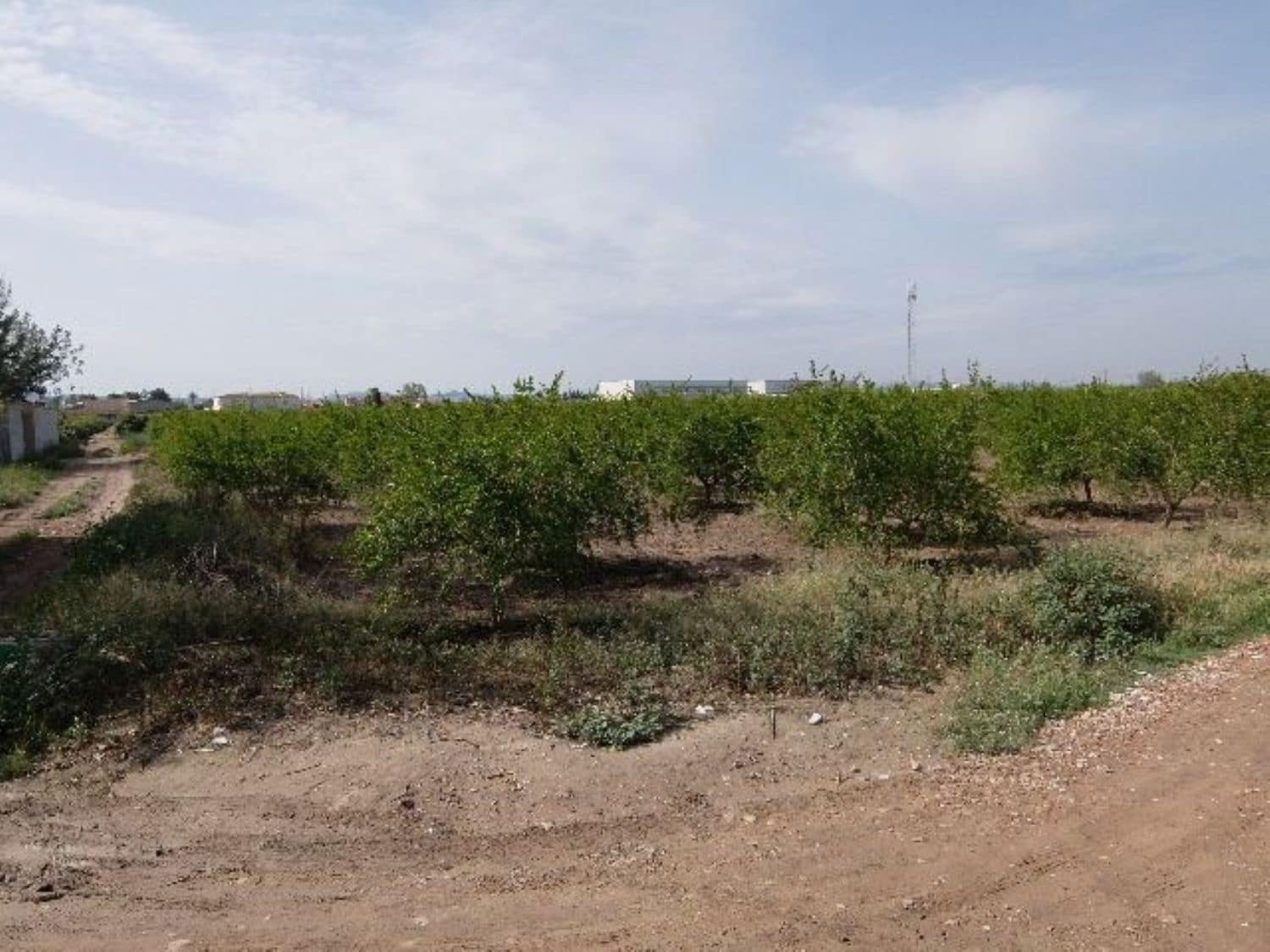 Grunde uden byggetilladelser til salg i Benejuzar - € 49.000 (Ref: 4072365)