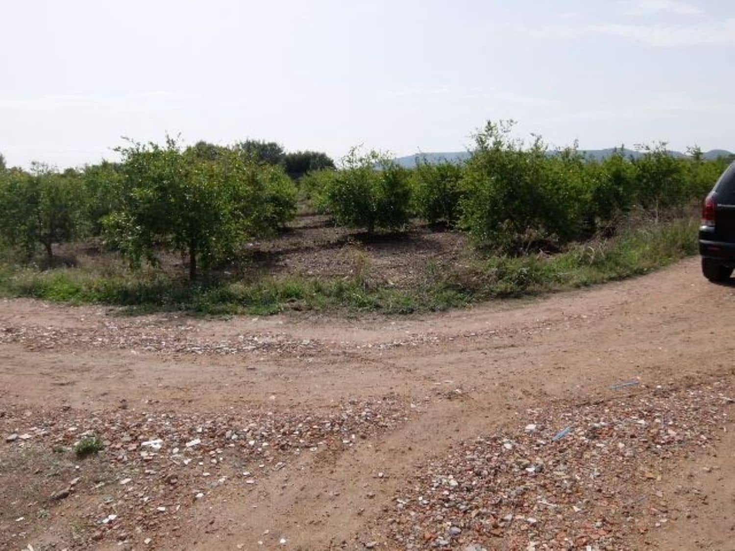 Grunde uden byggetilladelser til salg i Benejuzar - € 49.000 (Ref: 4072365)