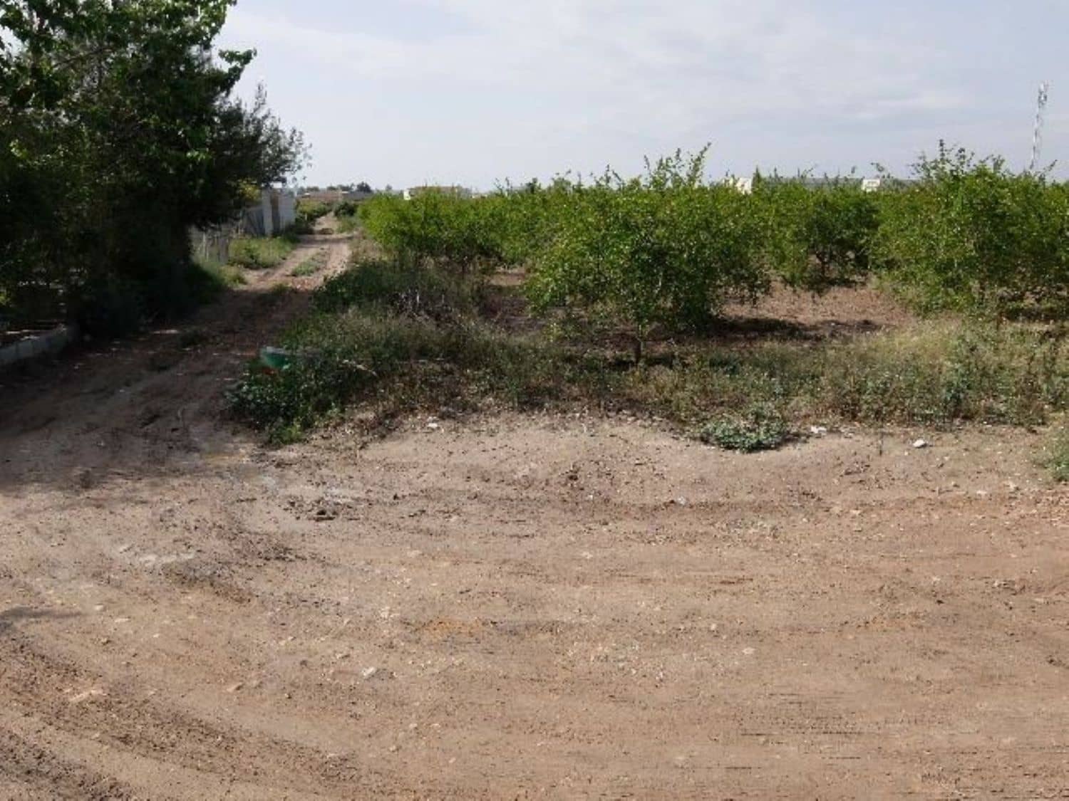 Grunde uden byggetilladelser til salg i Benejuzar - € 49.000 (Ref: 4072365)