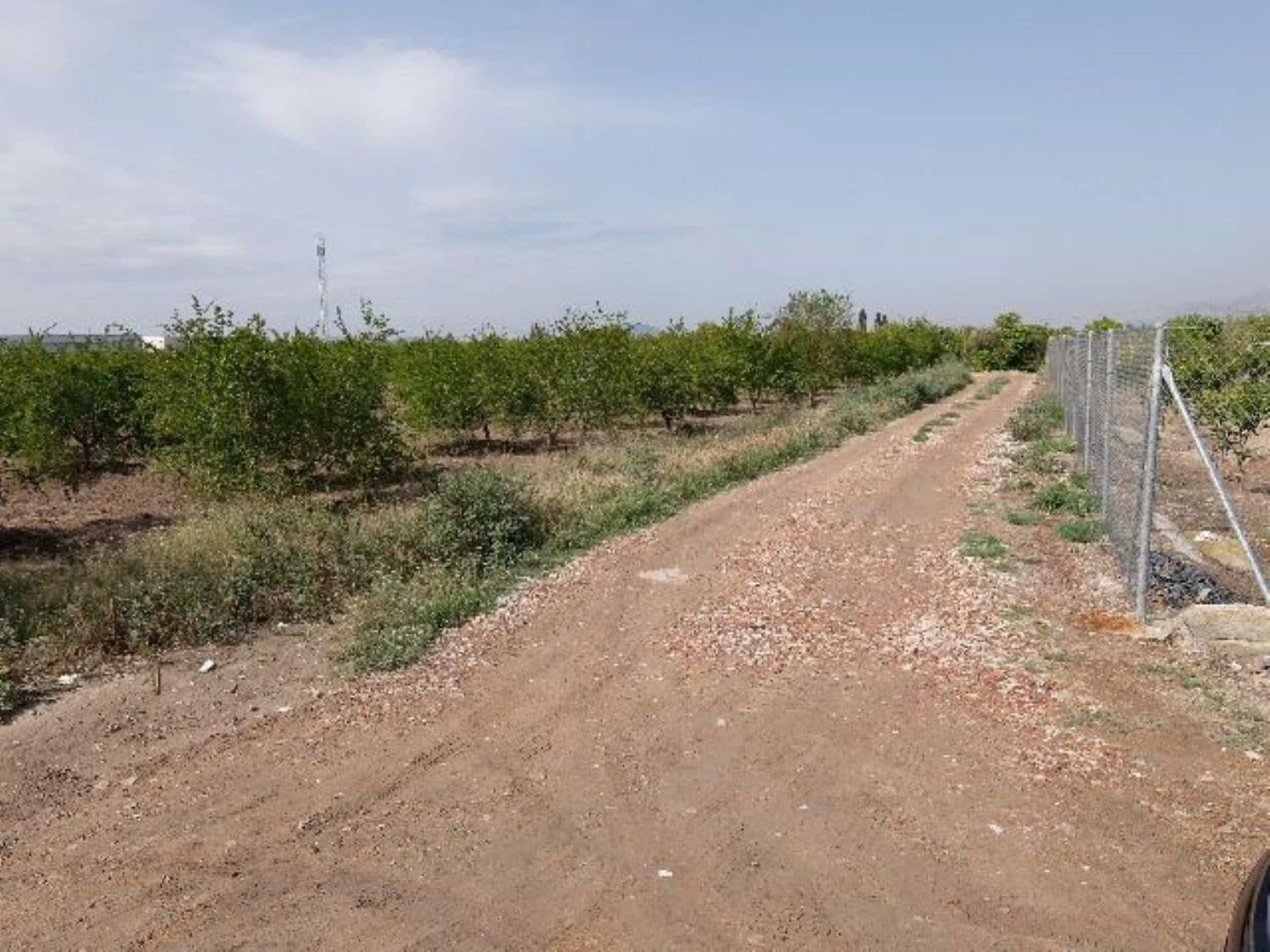 Grunde uden byggetilladelser til salg i Benejuzar - € 49.000 (Ref: 4072365)