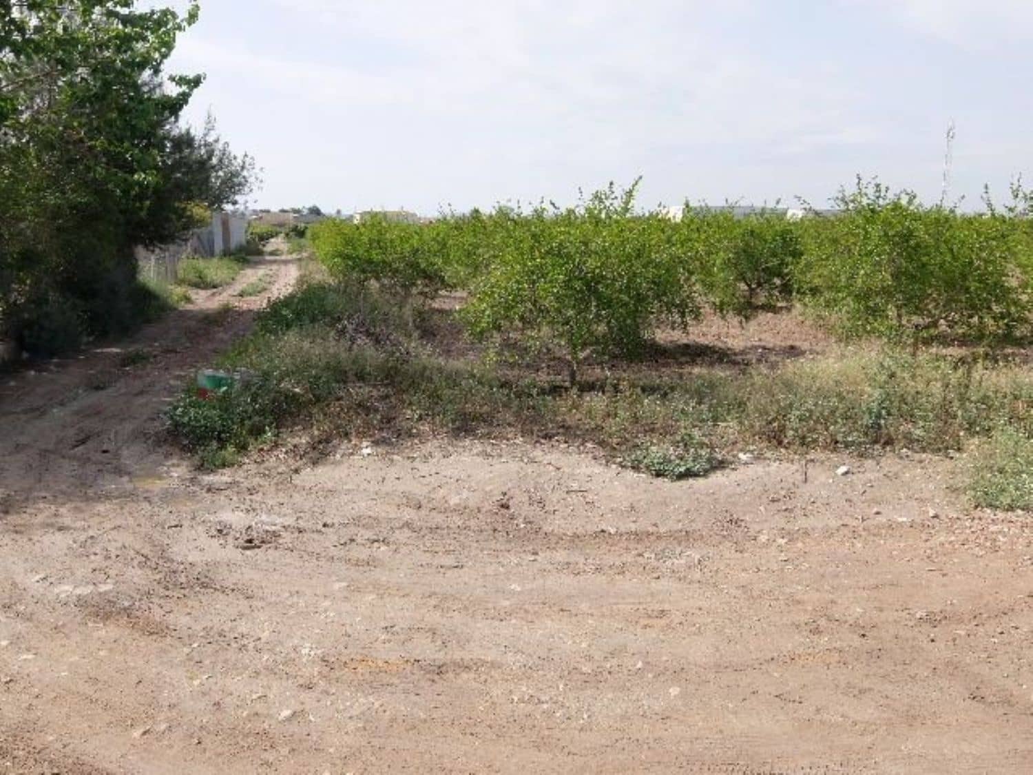 Grunde uden byggetilladelser til salg i Benejuzar - € 49.000 (Ref: 4072365)