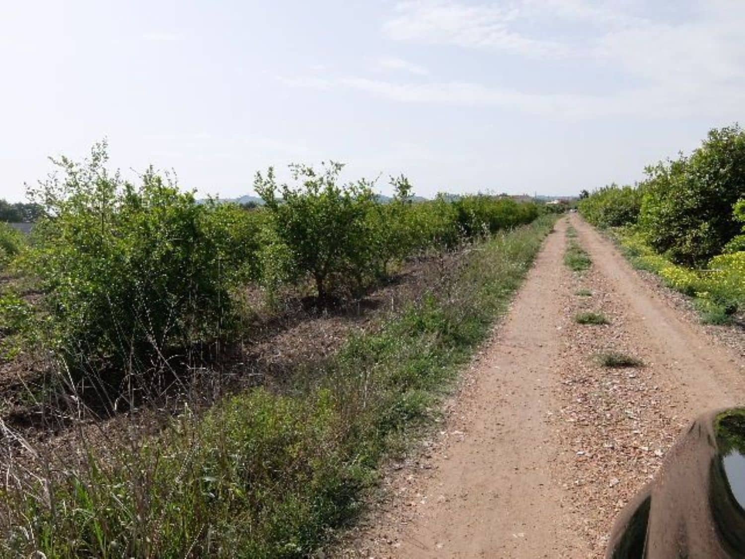 Grunde uden byggetilladelser til salg i Benejuzar - € 49.000 (Ref: 4072365)