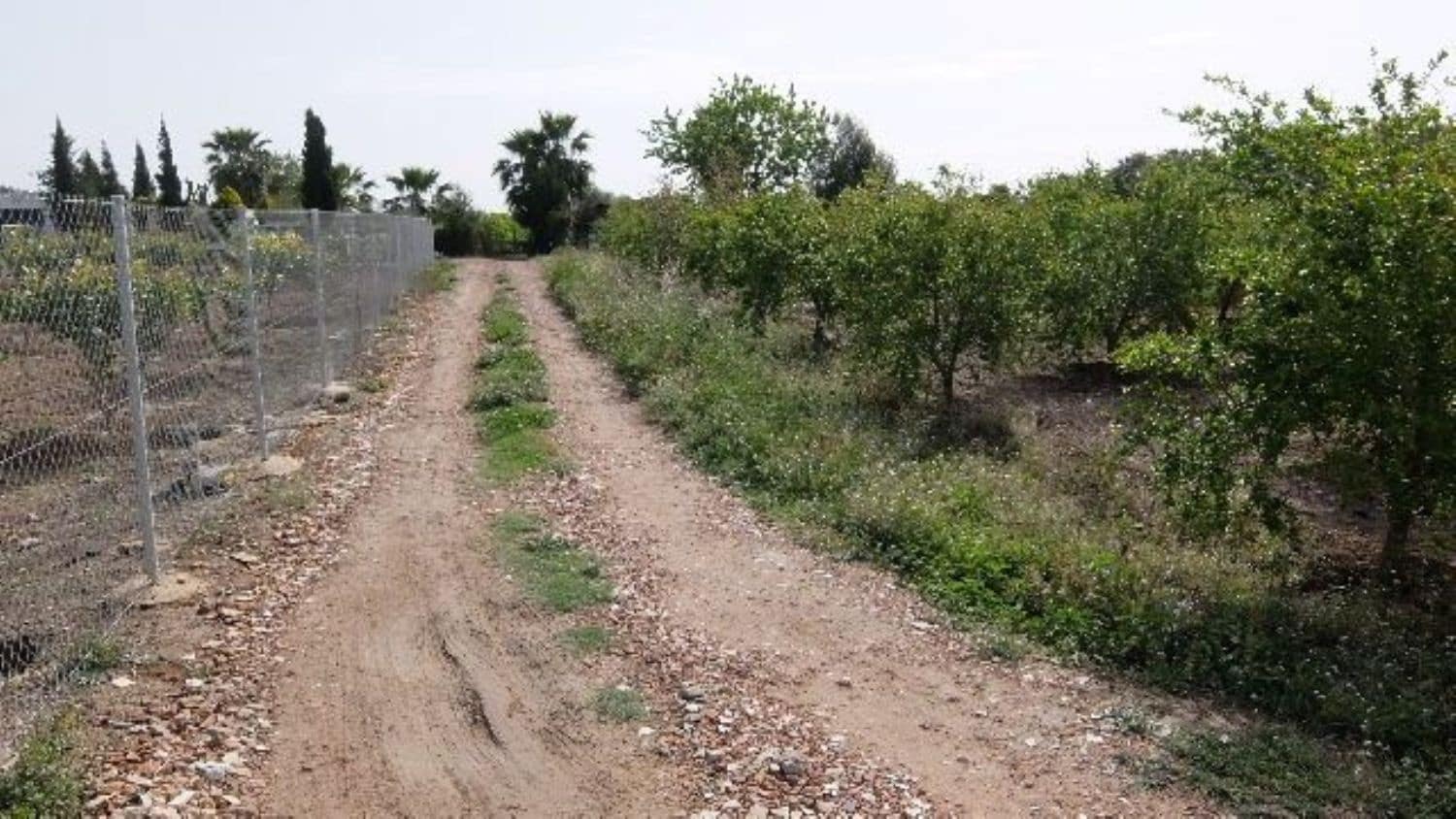 Grunde uden byggetilladelser til salg i Benejuzar - € 49.000 (Ref: 4072365)