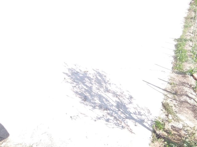 Terreno Não Urbanizado para venda em Molins - Campaneta - San Bartolomé, Orihuela - 220 000 € (Ref: 4072366)