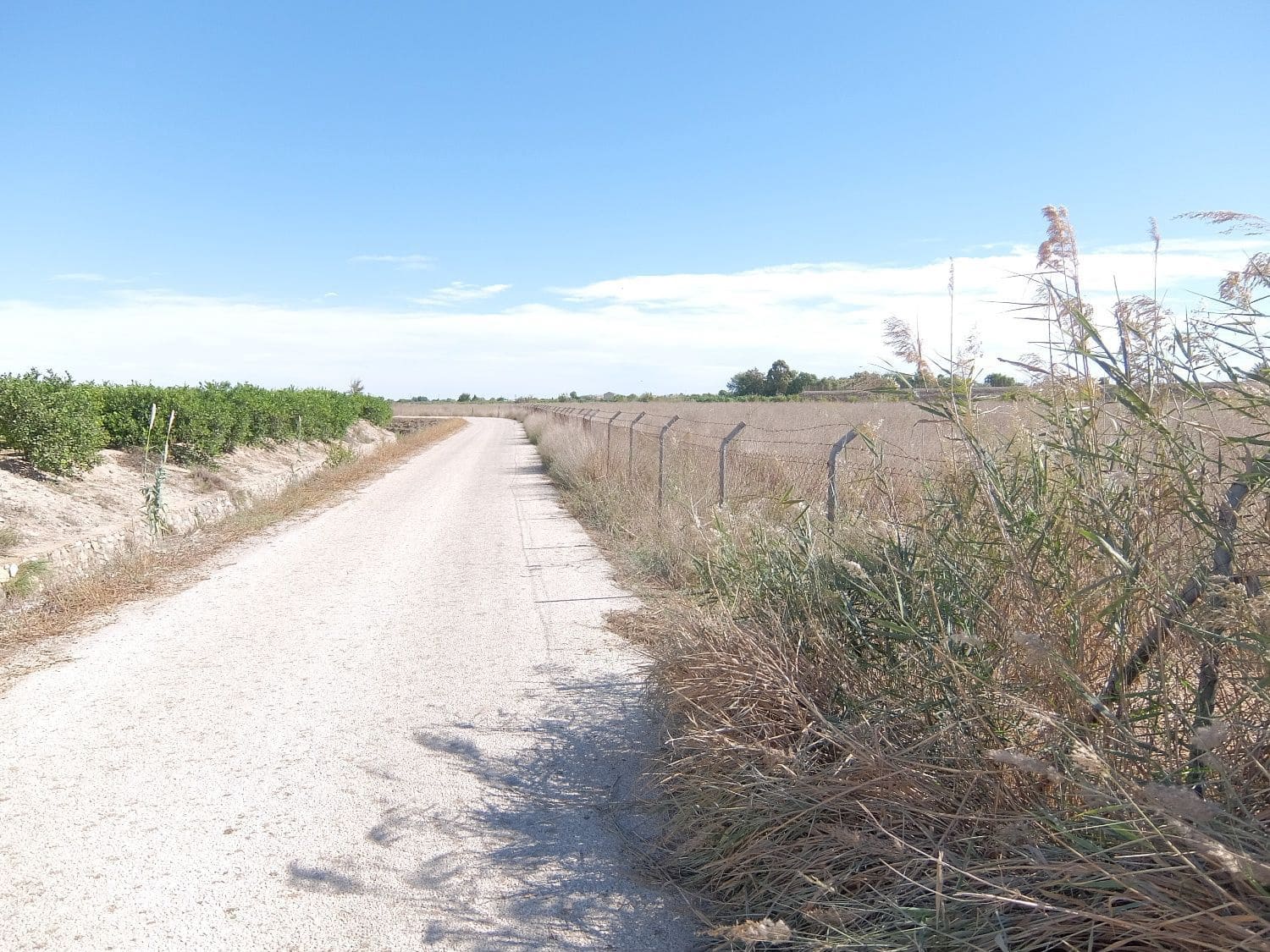 Grunde uden byggetilladelser til salg i Almoradi - € 144.000 (Ref: 4211862)