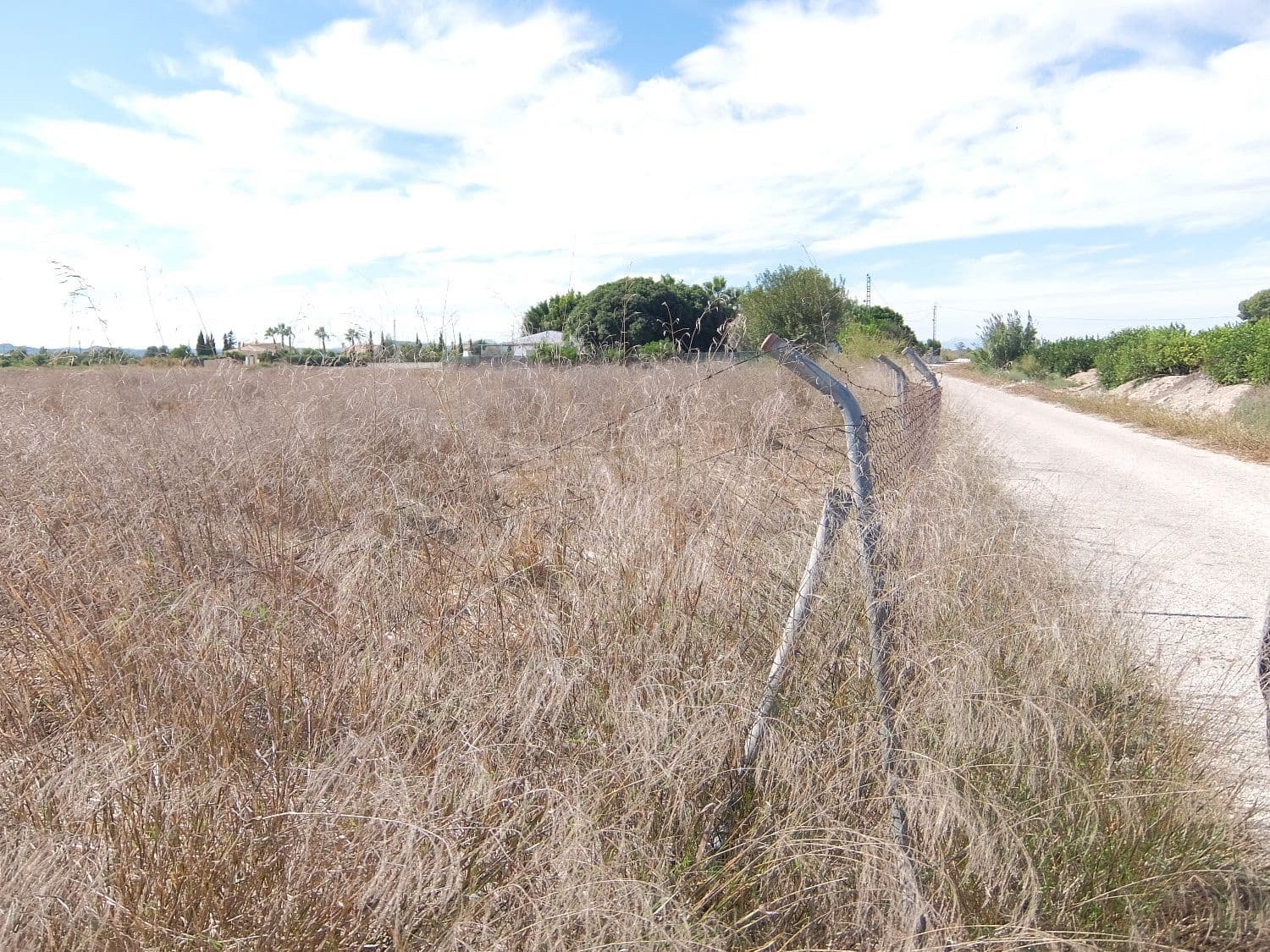 Grunde uden byggetilladelser til salg i Almoradi - € 144.000 (Ref: 4211862)