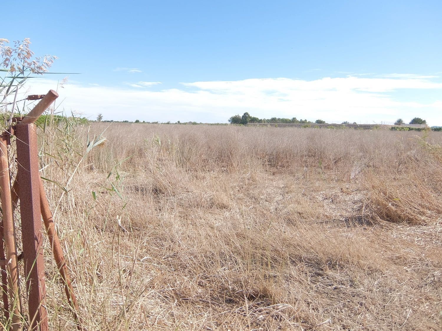 Grunde uden byggetilladelser til salg i Almoradi - € 144.000 (Ref: 4211862)