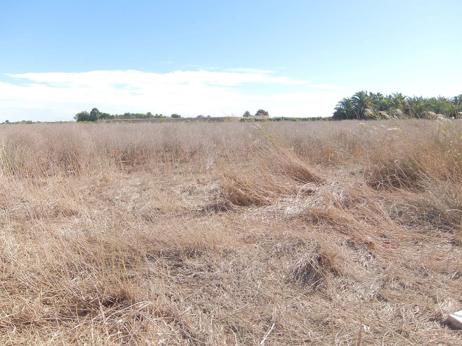 Grunde uden byggetilladelser til salg i Almoradi - € 144.000 (Ref: 4211862)