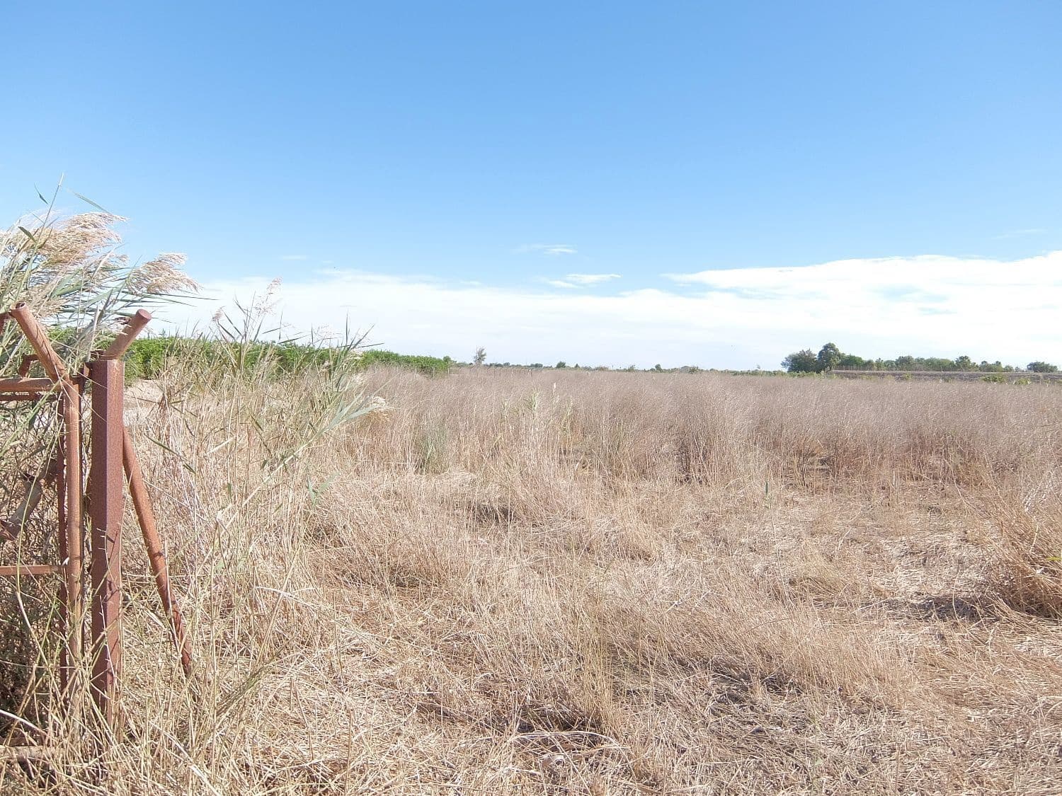 Grunde uden byggetilladelser til salg i Almoradi - € 144.000 (Ref: 4211862)