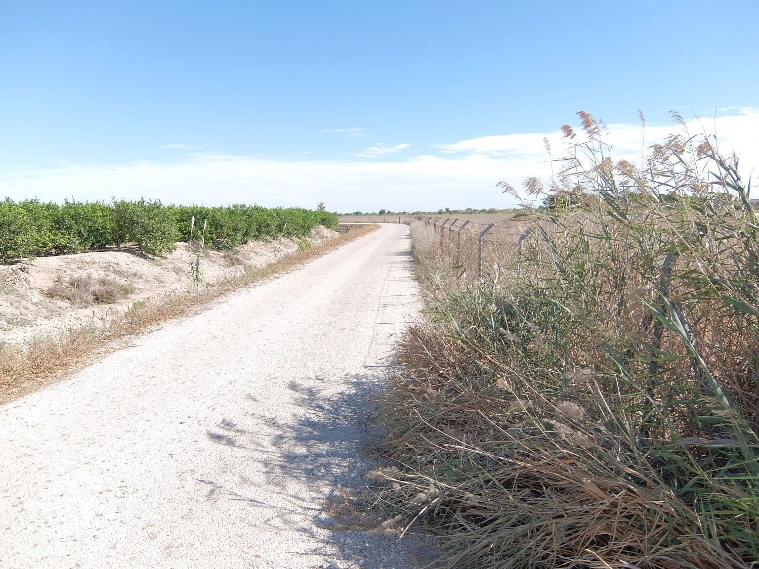 Grunde uden byggetilladelser til salg i Almoradi - € 144.000 (Ref: 4211862)