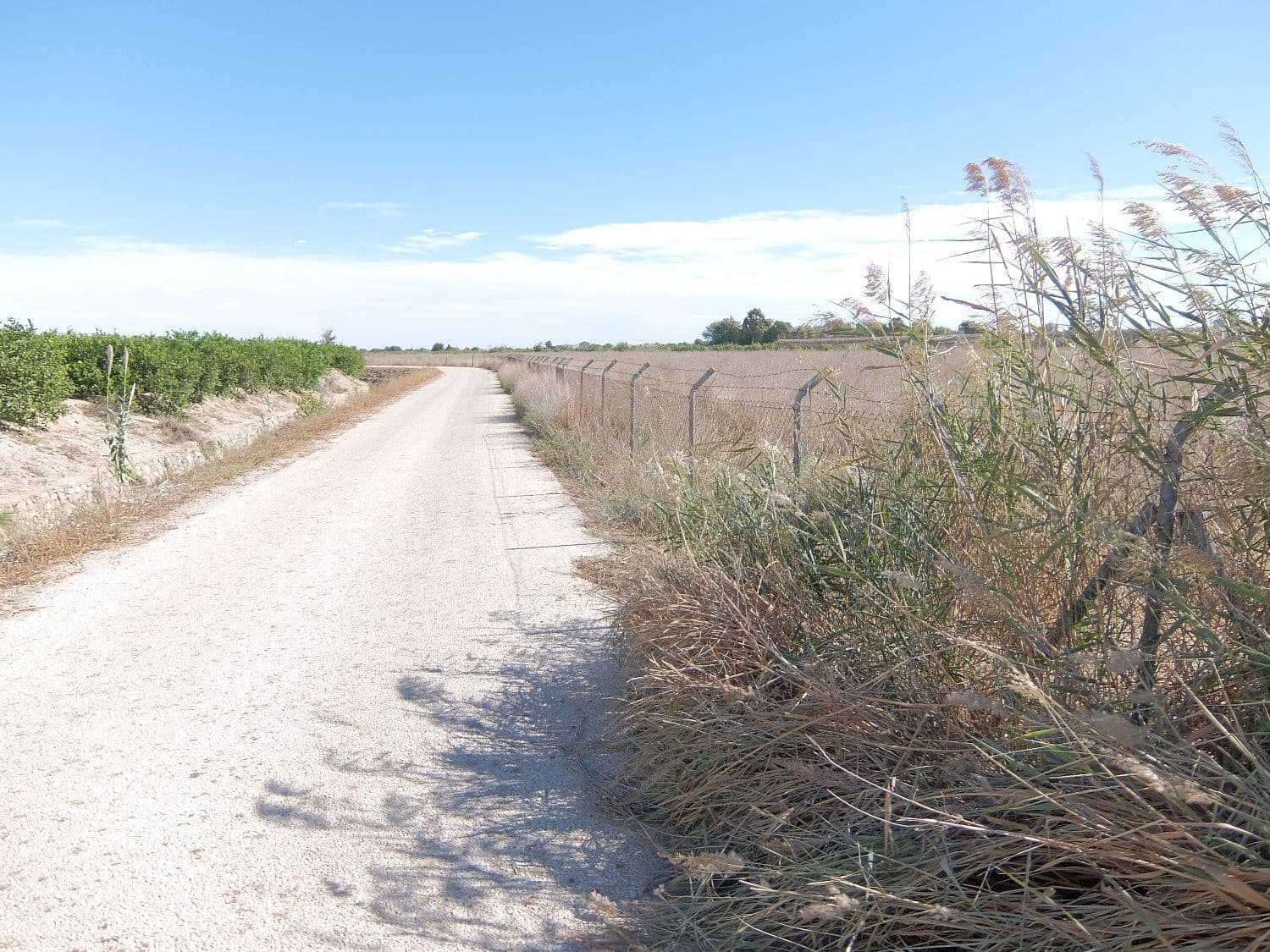 Grunde uden byggetilladelser til salg i Almoradi - € 144.000 (Ref: 4211862)