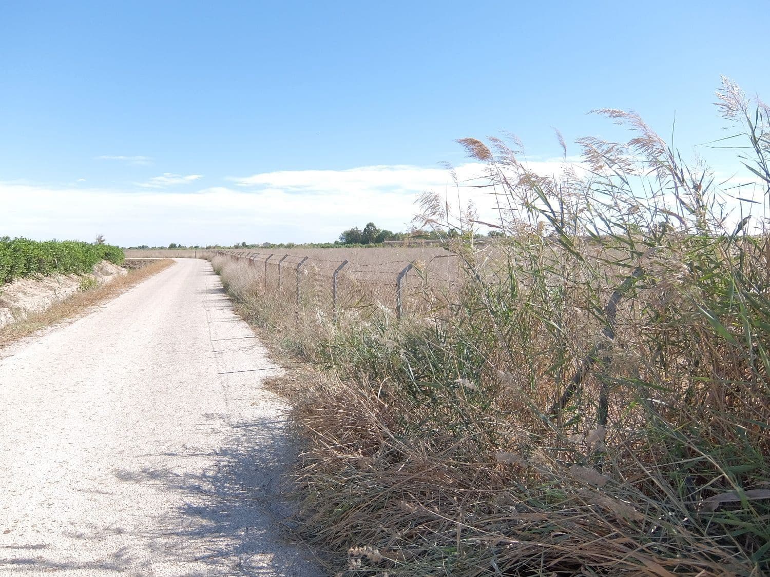 Grunde uden byggetilladelser til salg i Almoradi - € 144.000 (Ref: 4211862)