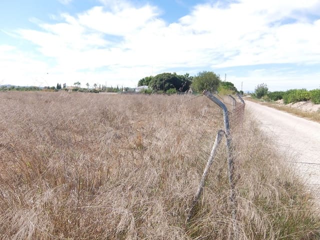 Teren niezagospodarowany na sprzedaż w Almoradí - 144 000 € (Ref: 4211862)