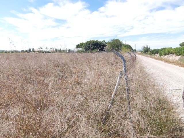 Teren niezagospodarowany na sprzedaż w Almoradí - 144 000 € (Ref: 4211862)