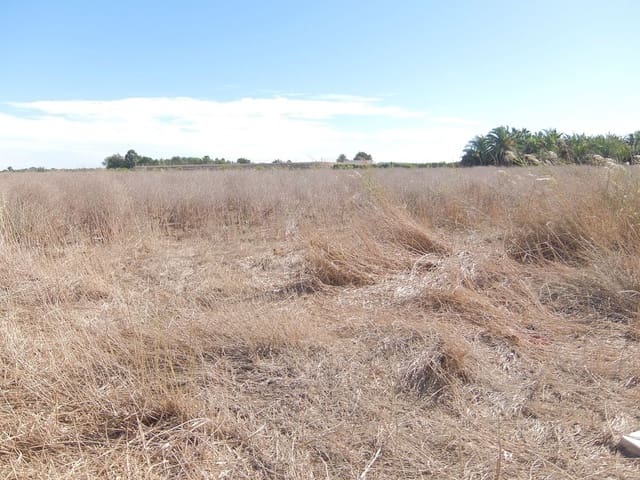 Teren niezagospodarowany na sprzedaż w Almoradí - 144 000 € (Ref: 4211862)