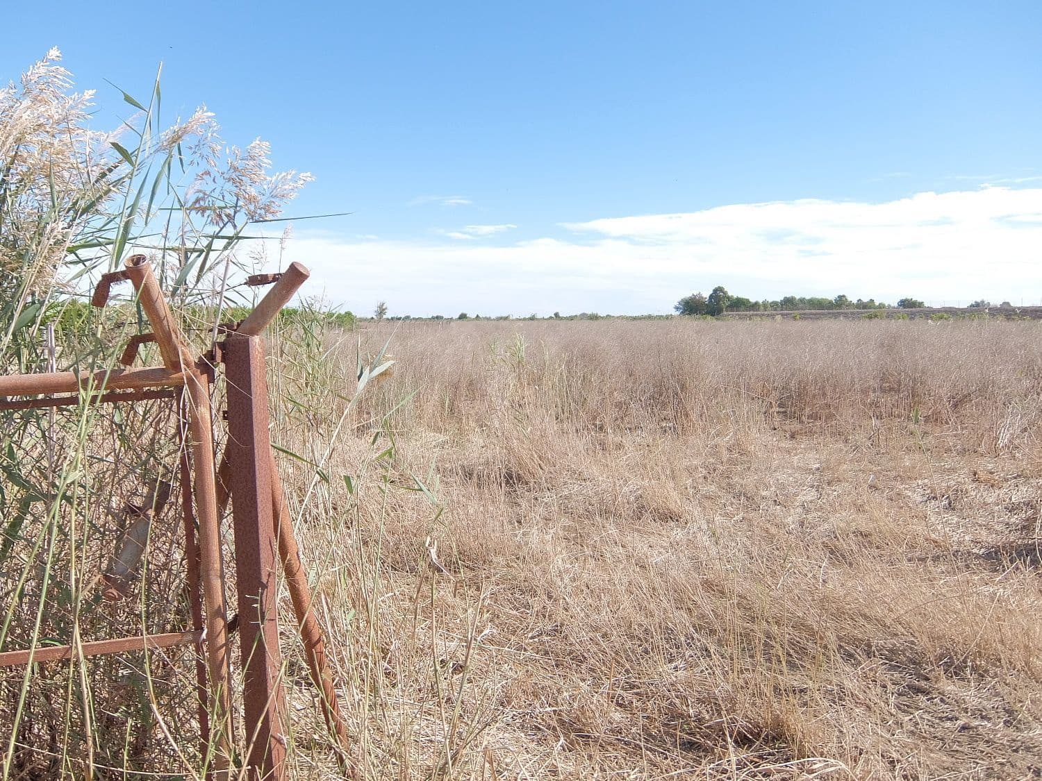 Grunde uden byggetilladelser til salg i Almoradi - € 144.000 (Ref: 4211862)