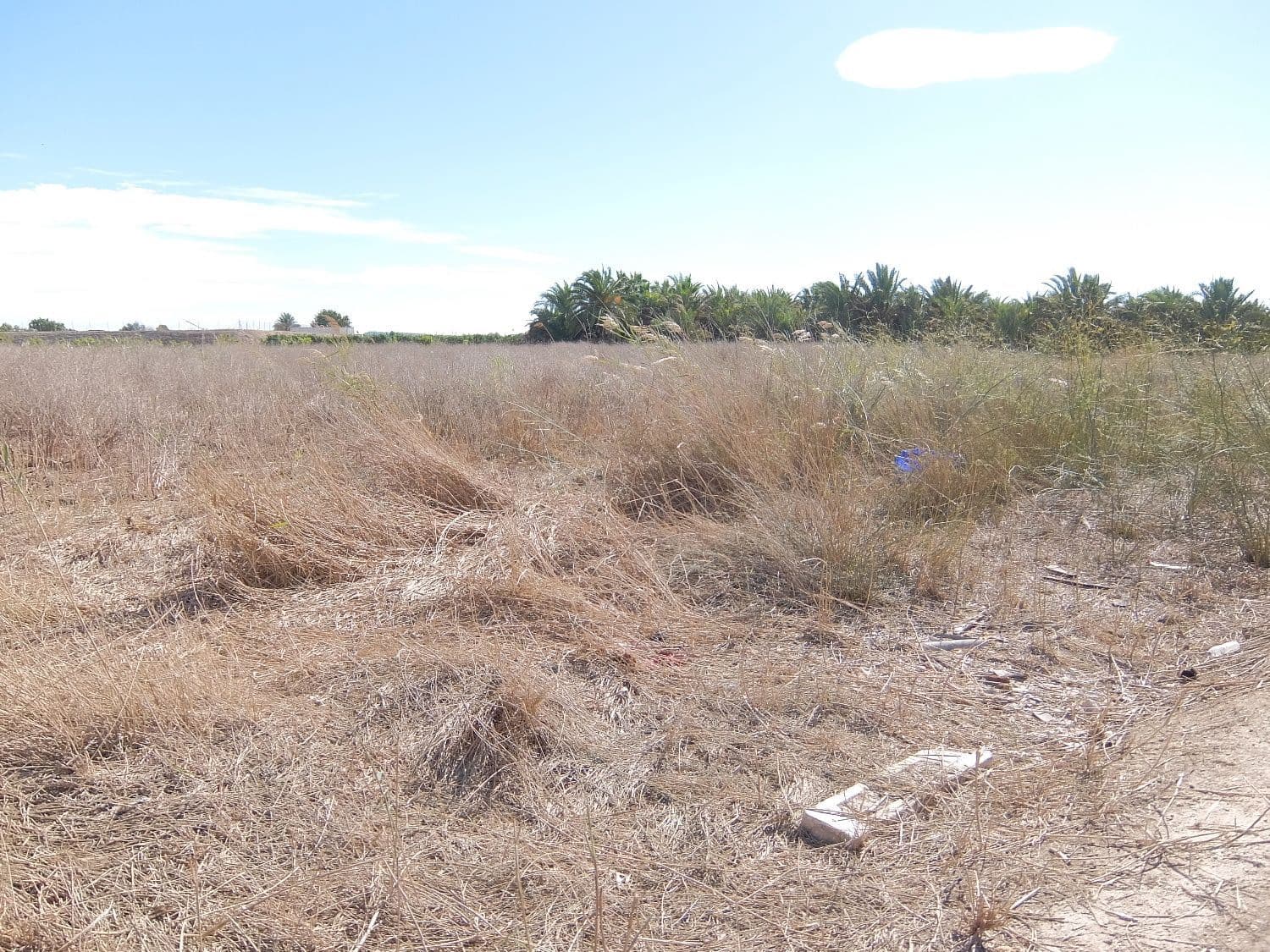 Grunde uden byggetilladelser til salg i Almoradi - € 144.000 (Ref: 4211862)