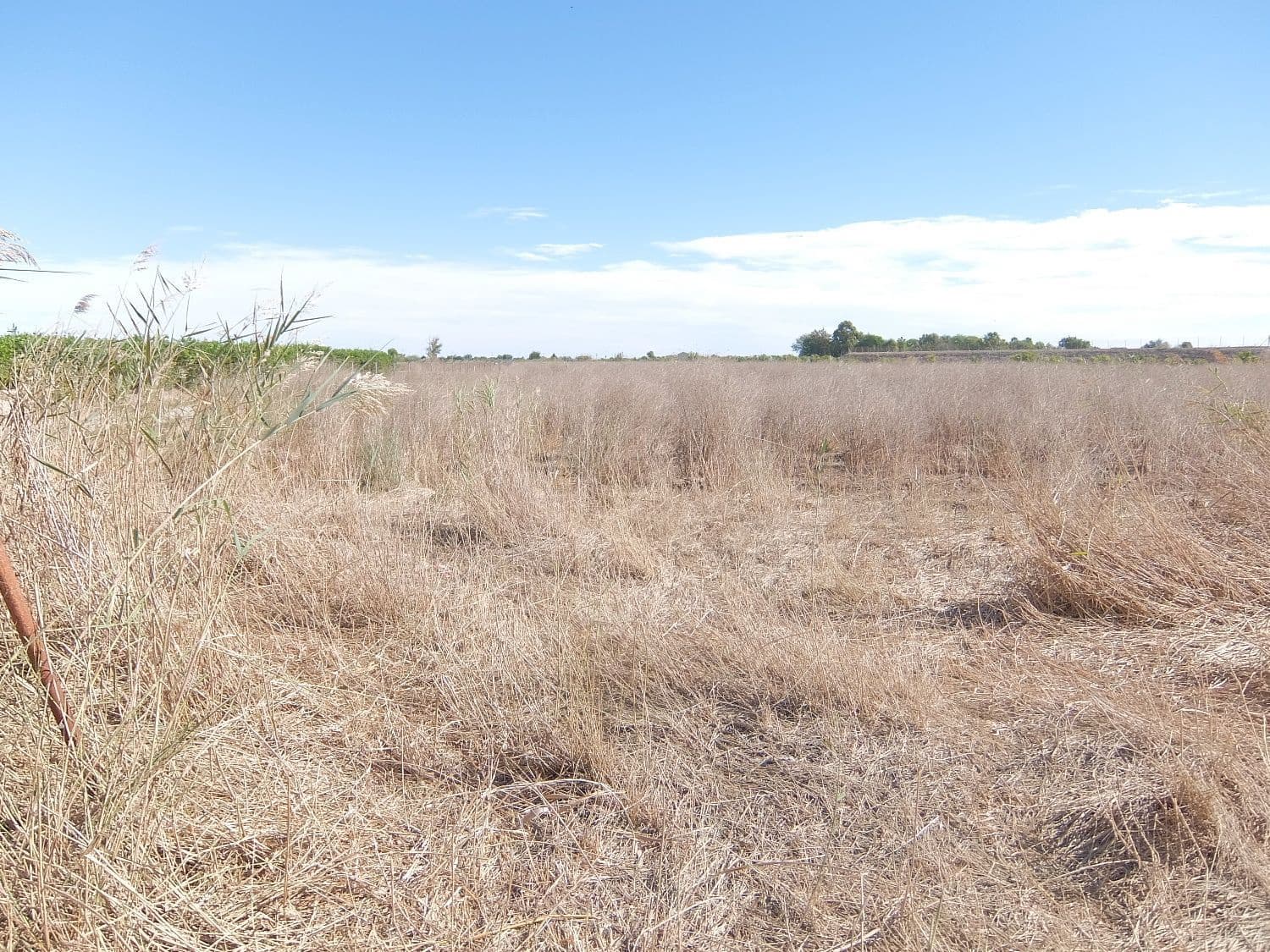 Grunde uden byggetilladelser til salg i Almoradi - € 144.000 (Ref: 4211862)