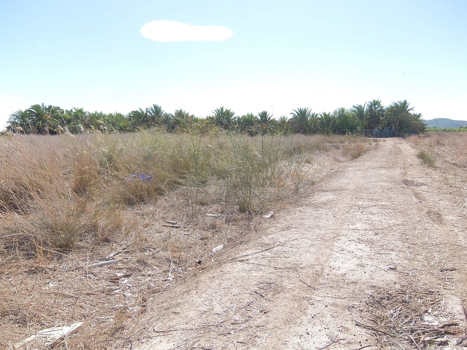 Grunde uden byggetilladelser til salg i Almoradi - € 144.000 (Ref: 4211862)