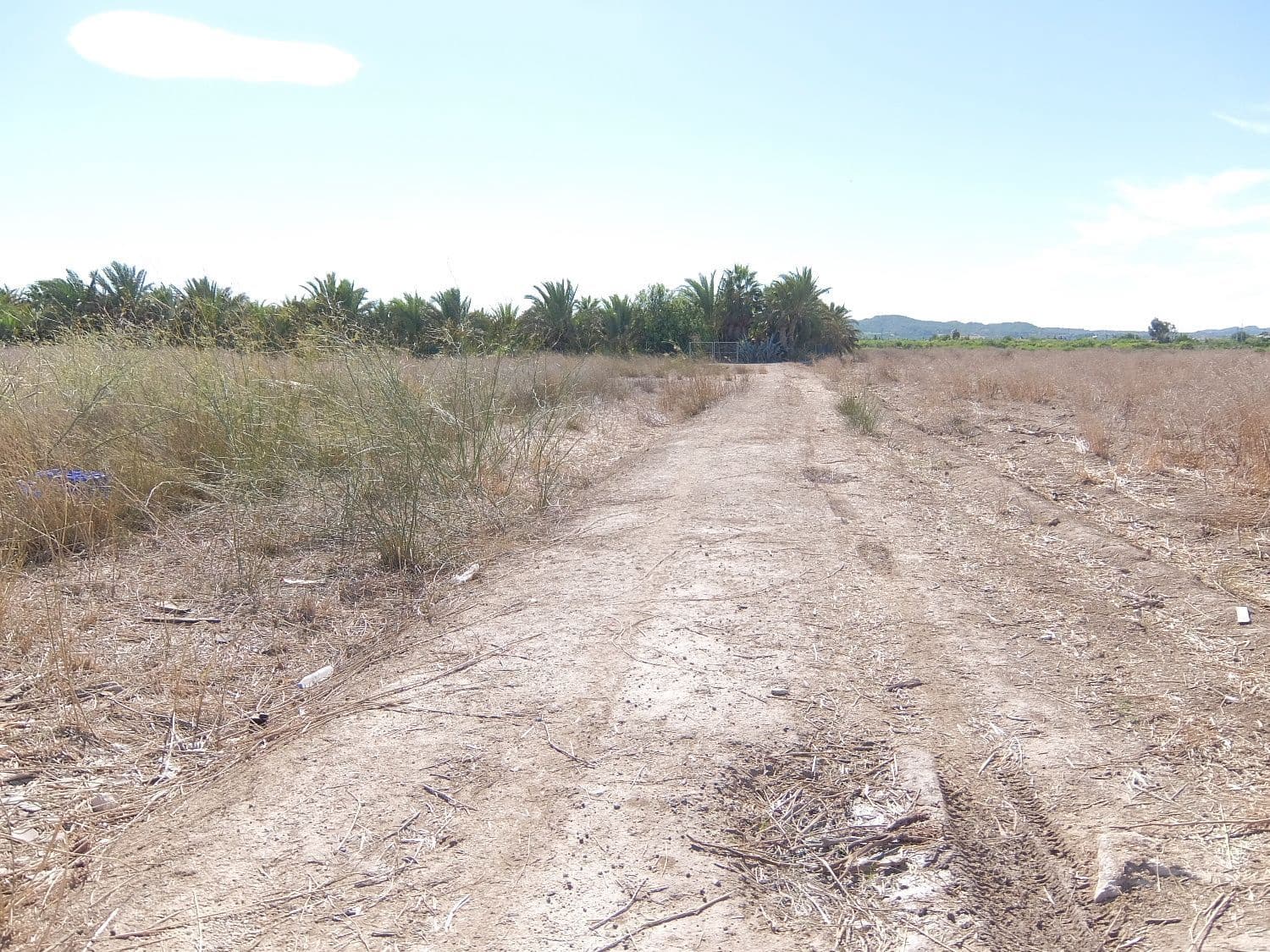 Grunde uden byggetilladelser til salg i Almoradi - € 144.000 (Ref: 4211862)