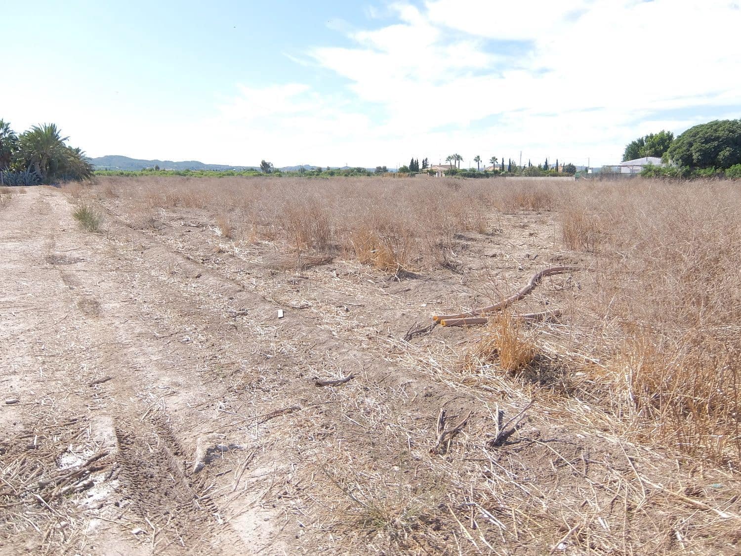 Grunde uden byggetilladelser til salg i Almoradi - € 144.000 (Ref: 4211862)