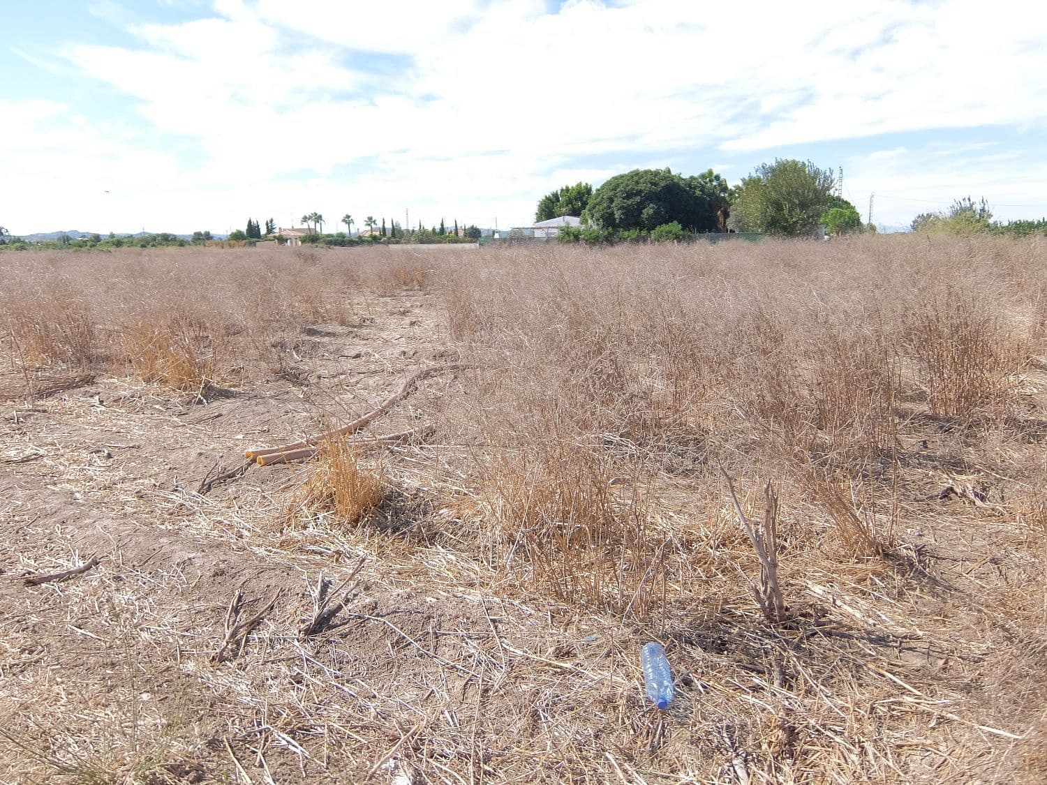 Grunde uden byggetilladelser til salg i Almoradi - € 144.000 (Ref: 4211862)