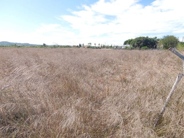 Teren niezagospodarowany na sprzedaż w Almoradí - 144 000 € (Ref: 4211862)