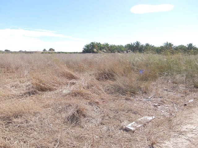 Teren niezagospodarowany na sprzedaż w Almoradí - 144 000 € (Ref: 4211862)