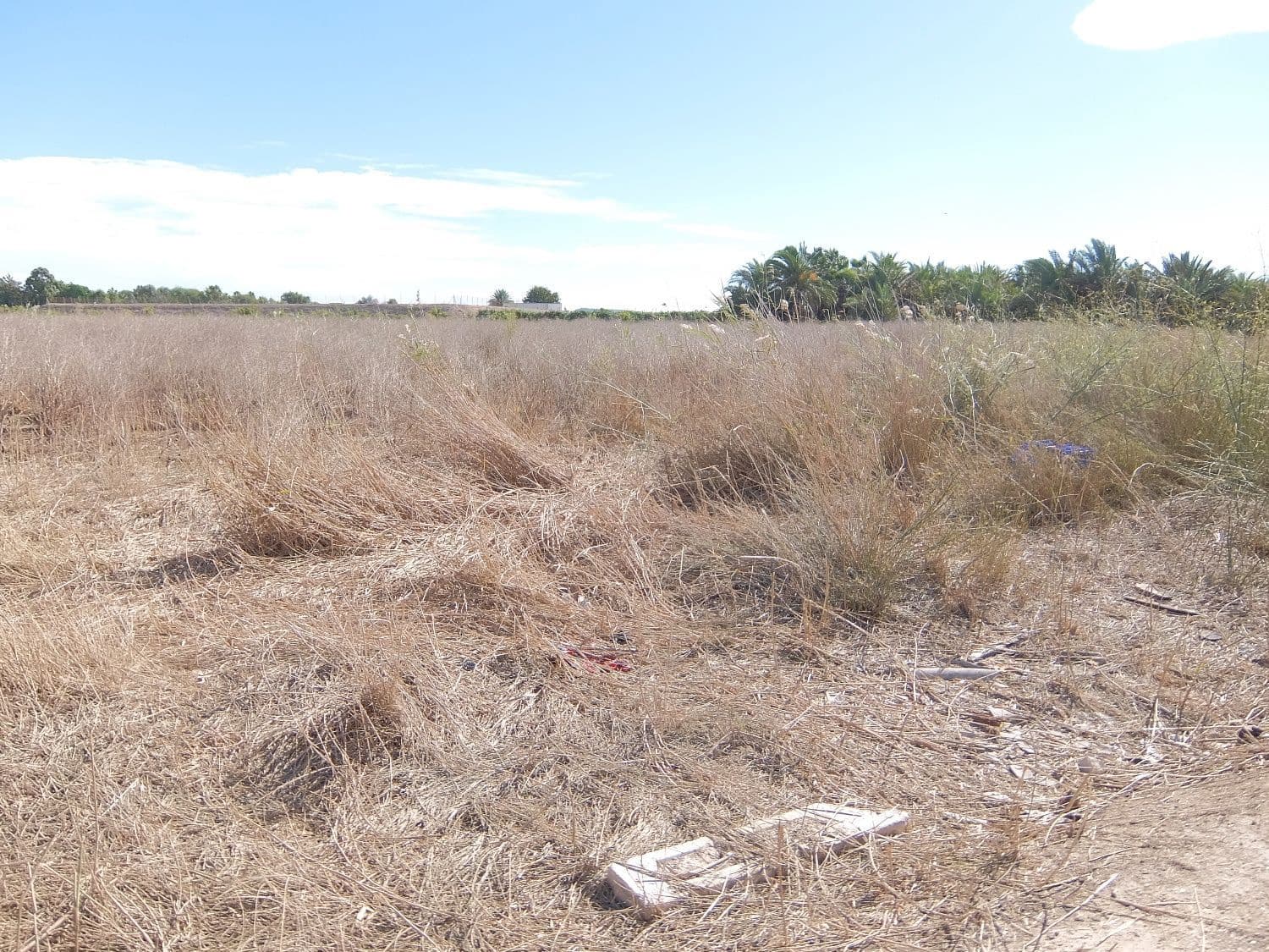 Grunde uden byggetilladelser til salg i Almoradi - € 144.000 (Ref: 4211862)