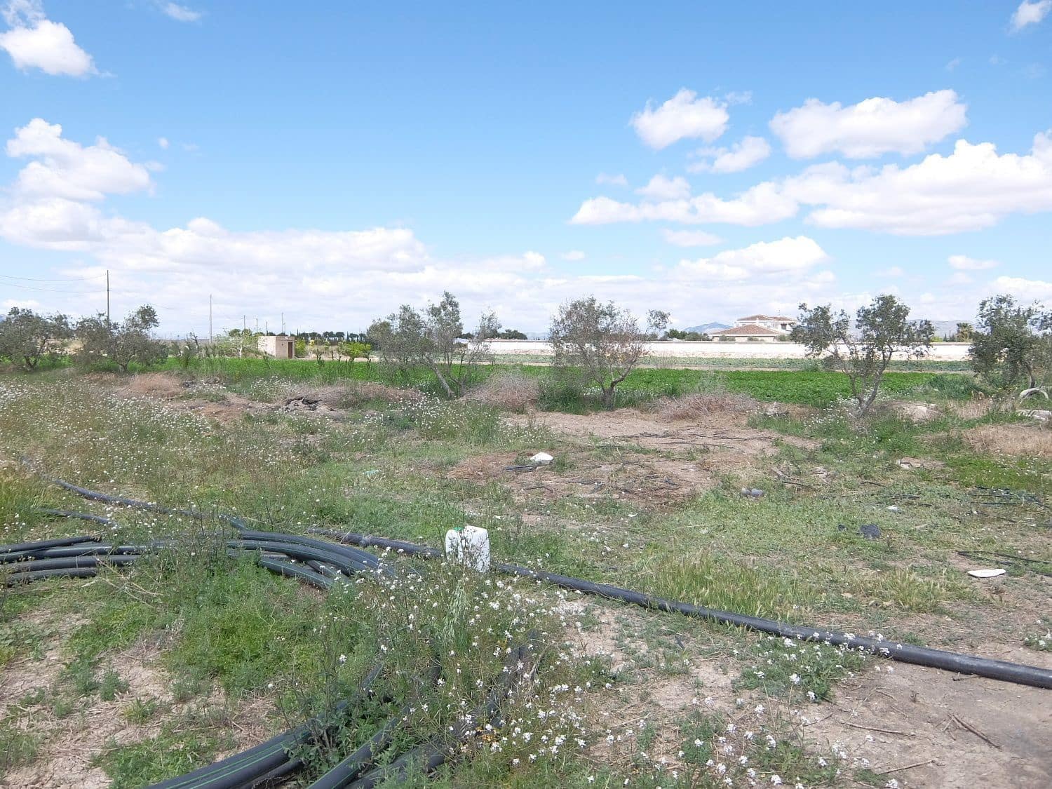 2 soveværelse Finca/Landehus til salg i San Fulgencio med garage - € 145.000 (Ref: 4539588)