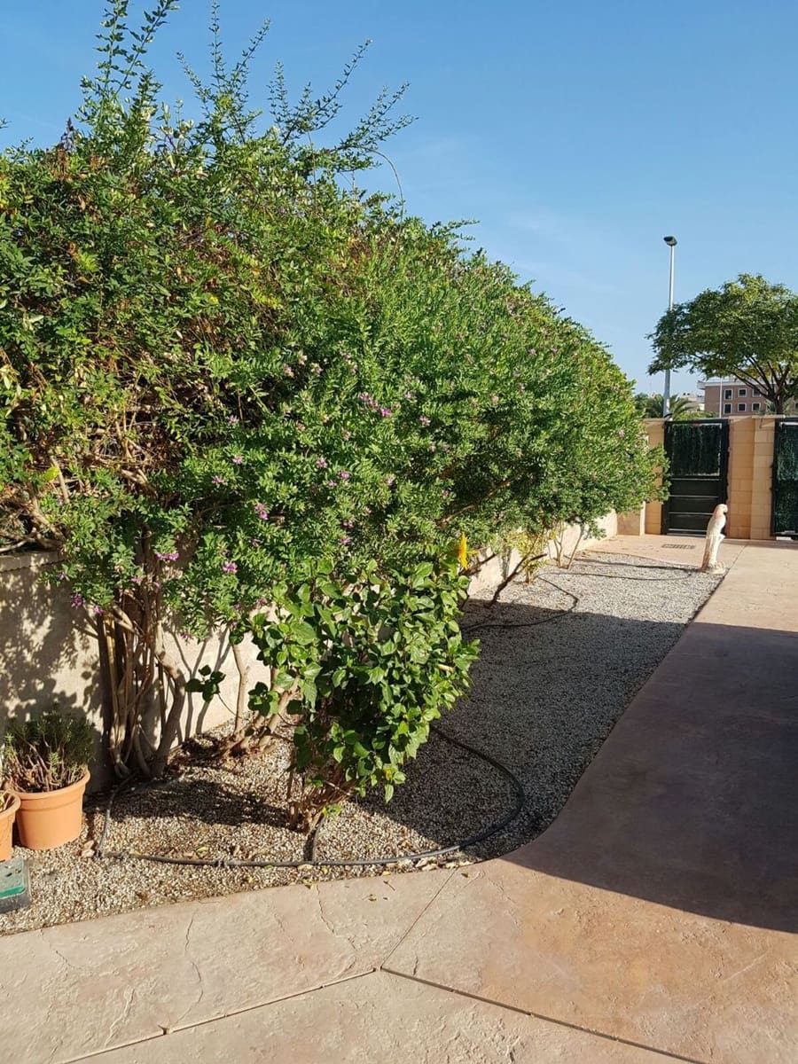 4 bedroom Villa for rent in Elche / Elx with pool garage - € 1,800 (Ref: 4637766)