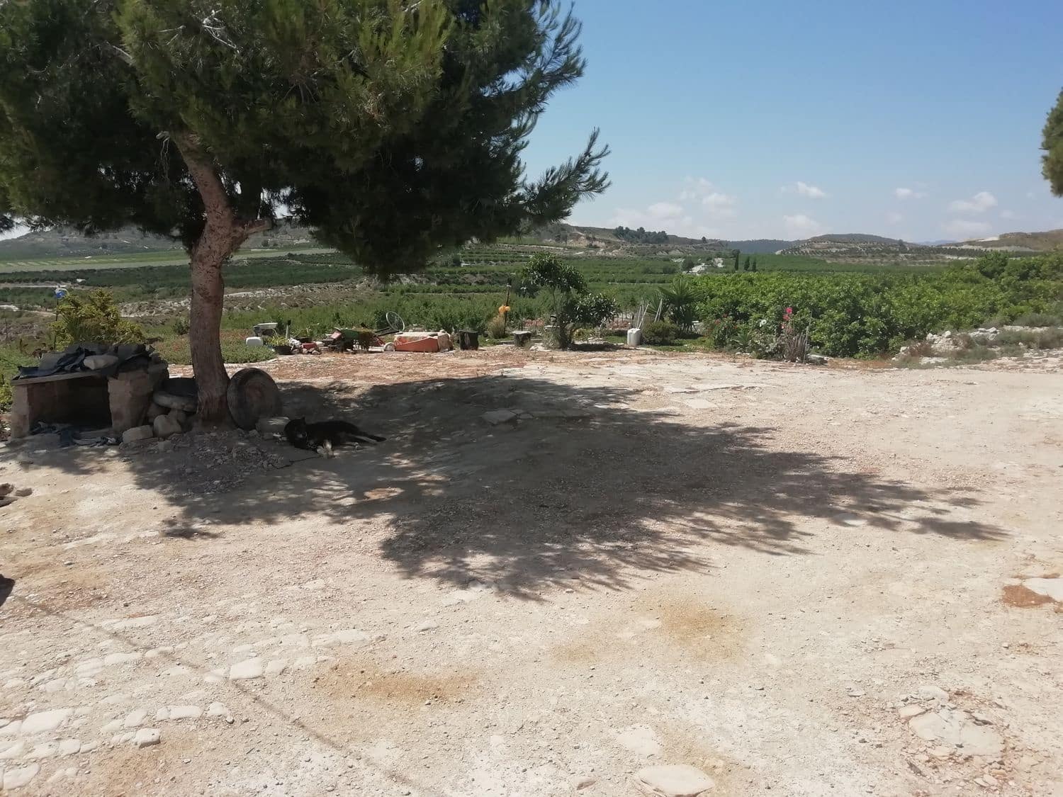 2 sovrum Finca/Hus på landet till salu i Orihuela - 270 000 € (Ref: 4648295)