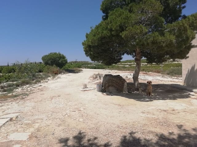 2 sovrum Finca/Hus på landet till salu i Desamparados - Hurchillo - Torremendo, Orihuela - 270 000 € (Ref: 4648295)
