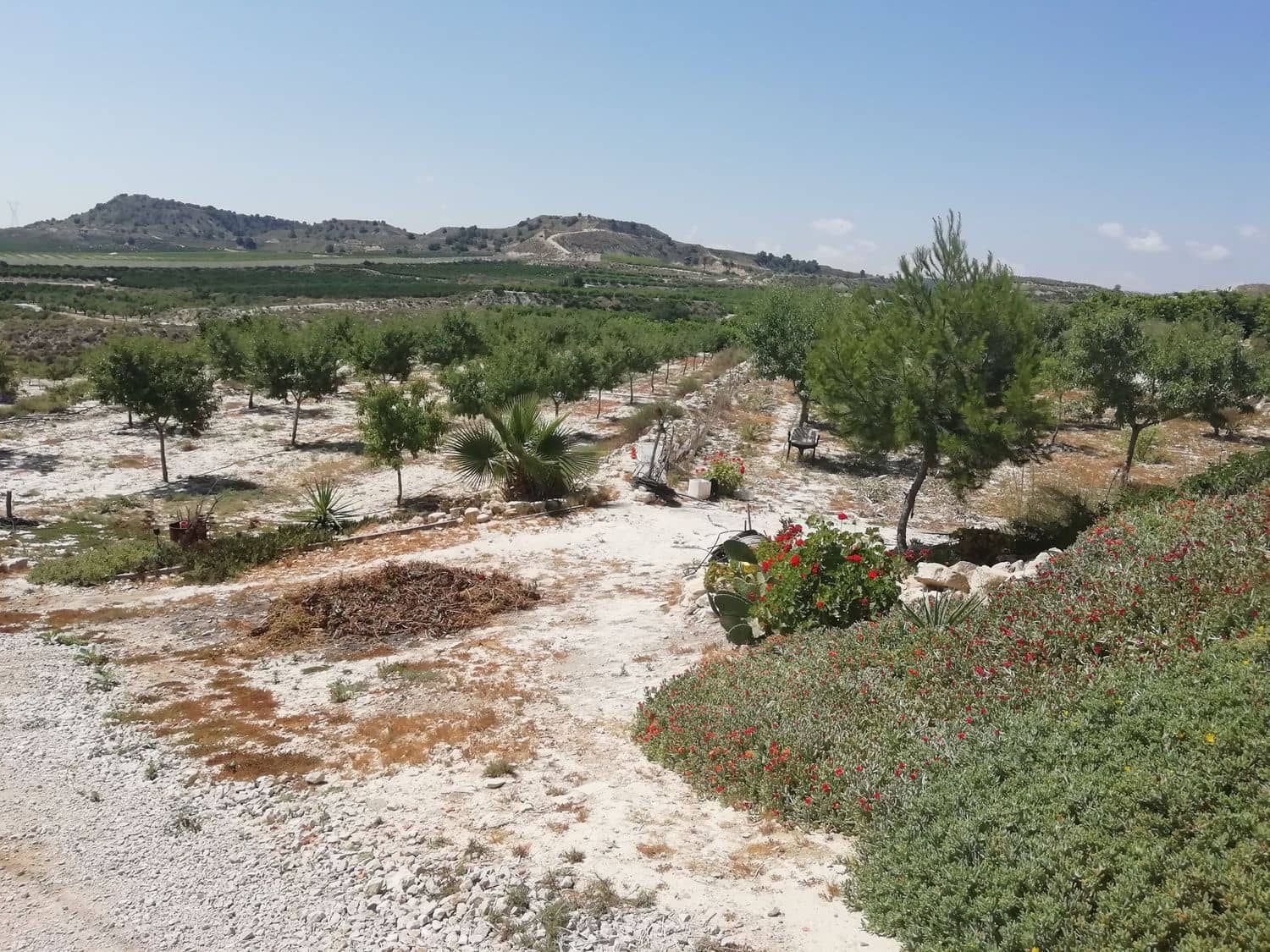2 sovrum Finca/Hus på landet till salu i Orihuela - 270 000 € (Ref: 4648295)
