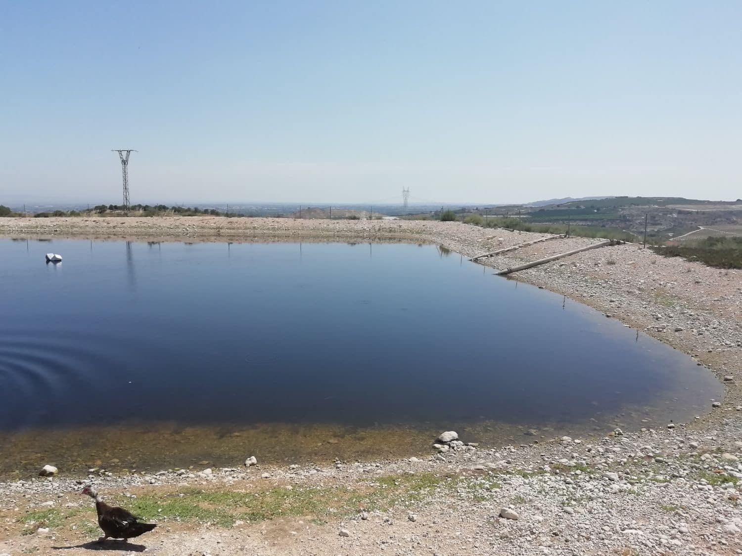 2 sovrum Finca/Hus på landet till salu i Orihuela - 270 000 € (Ref: 4648295)