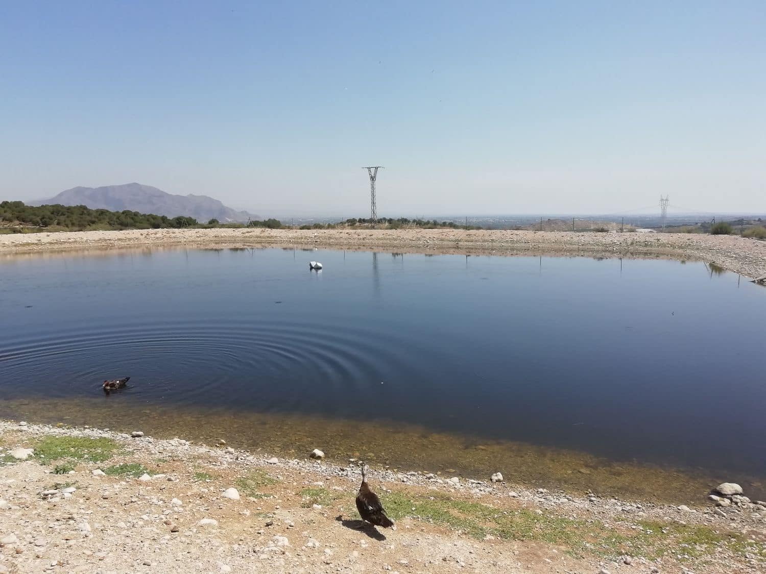 2 sovrum Finca/Hus på landet till salu i Orihuela - 270 000 € (Ref: 4648295)