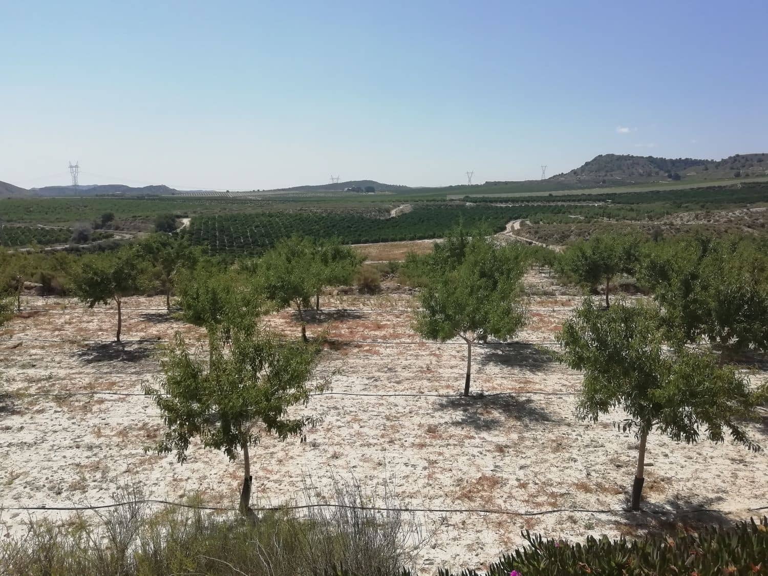 2 sovrum Finca/Hus på landet till salu i Orihuela - 270 000 € (Ref: 4648295)