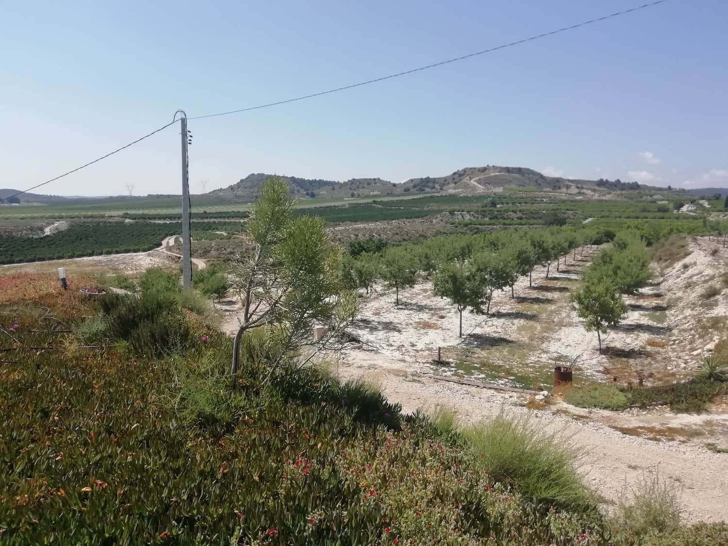 2 sovrum Finca/Hus på landet till salu i Orihuela - 270 000 € (Ref: 4648295)