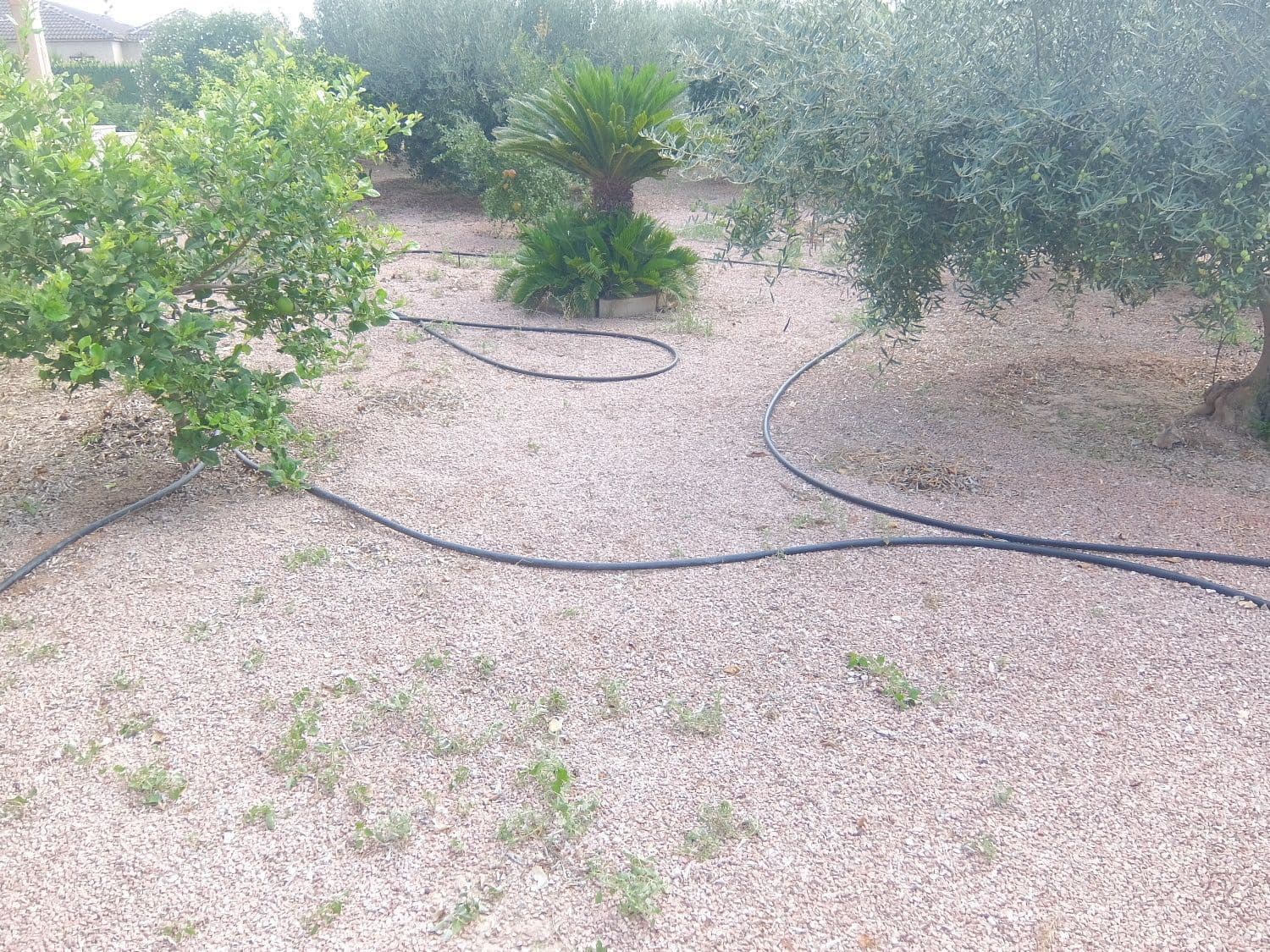 8 chambre Villa/Maison à vendre à Elche / Elx avec piscine garage - 390 000 € (Ref: 4750790)