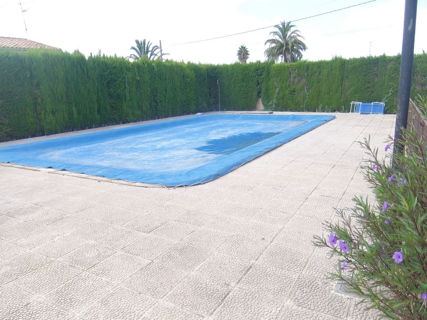 8 chambre Villa/Maison à vendre à Elche / Elx avec piscine garage - 390 000 € (Ref: 4750790)