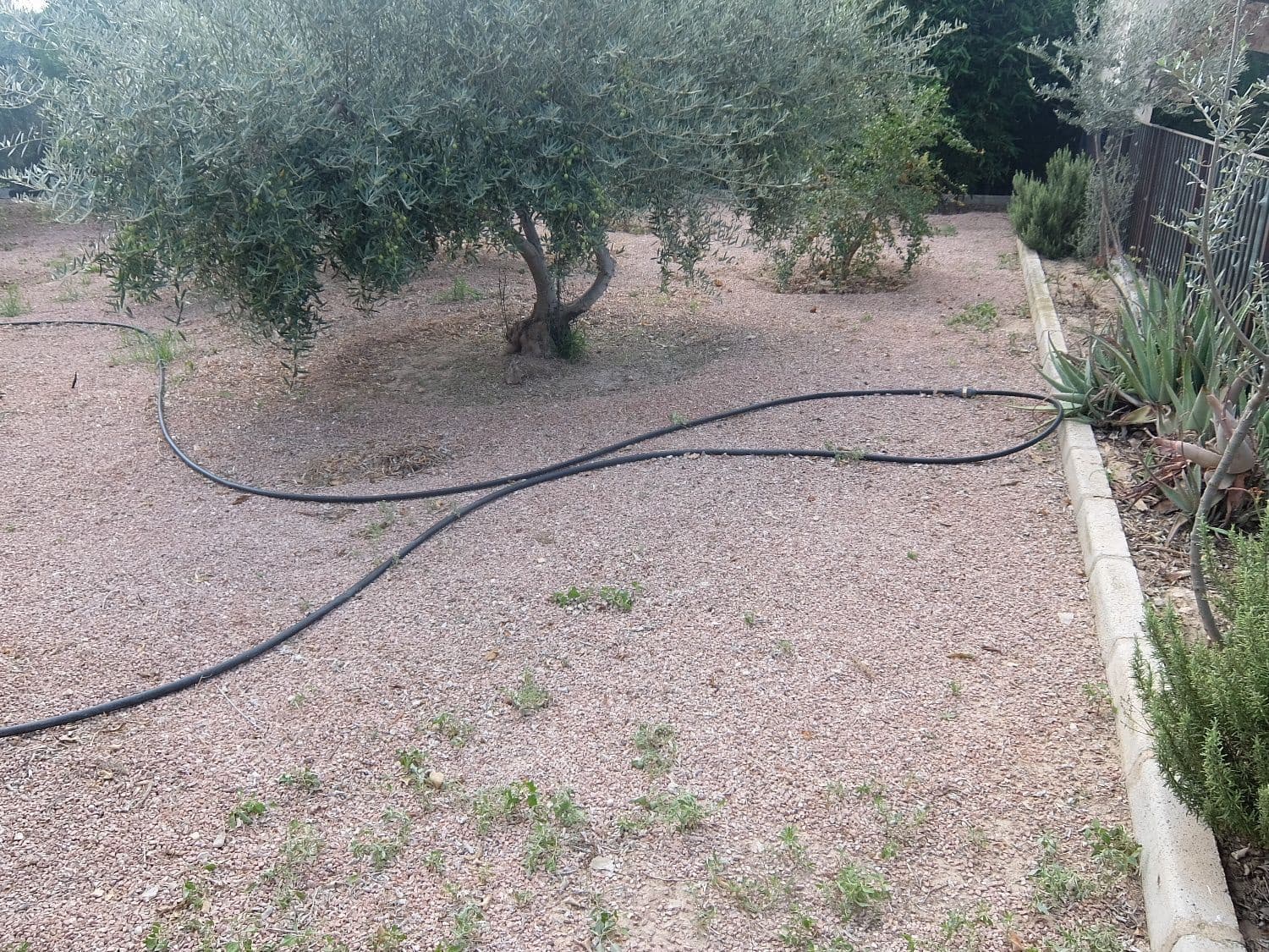 8 chambre Villa/Maison à vendre à Elche / Elx avec piscine garage - 390 000 € (Ref: 4750790)