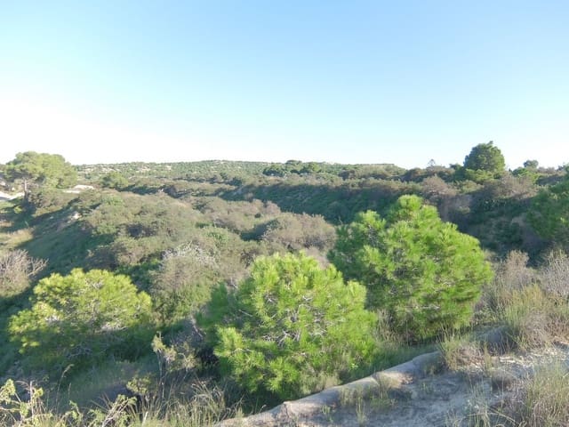 Ubebygd land til salgs i Rojales - € 70 000 (Ref: 4804520)