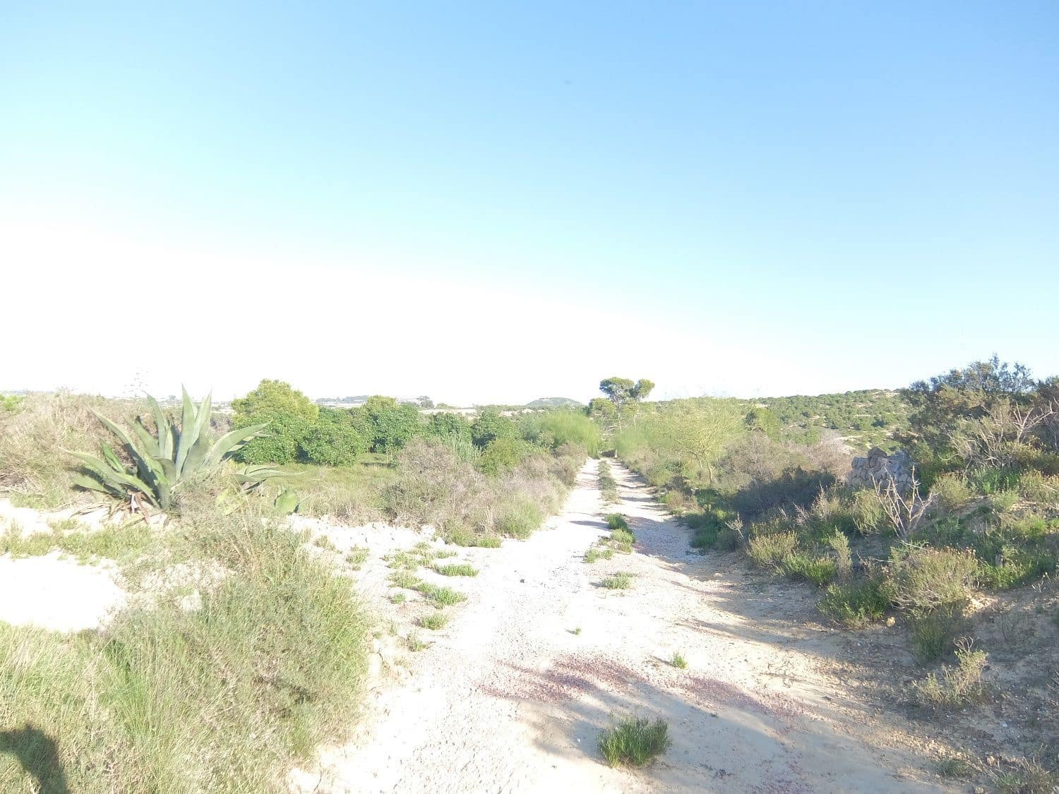 Rakentamaton maa myytävänä paikassa Rojales - 70 000 € (Ref: 4804520)