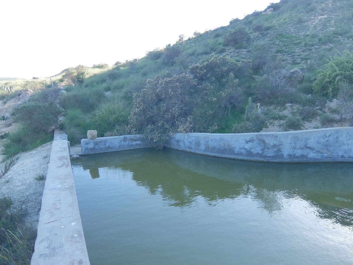 Rakentamaton maa myytävänä paikassa Rojales - 70 000 € (Ref: 4804520)