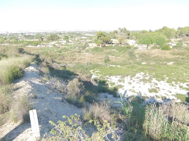 Ubebygd land til salgs i Rojales - € 70 000 (Ref: 4804520)