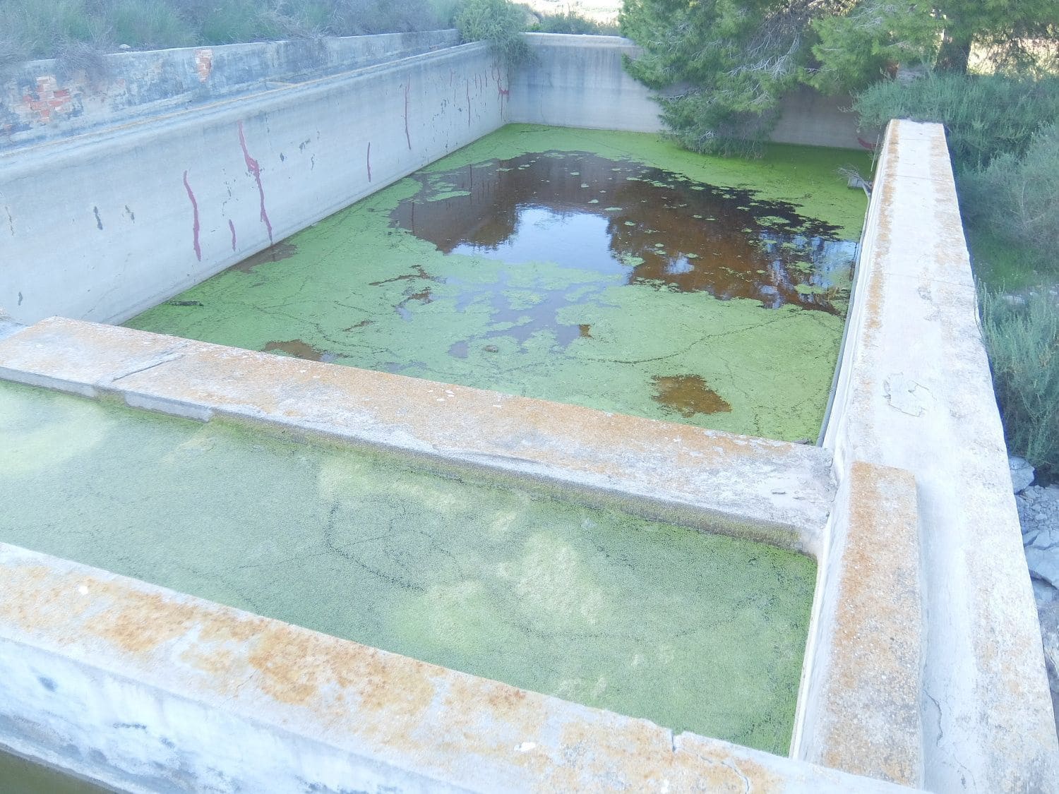 Rakentamaton maa myytävänä paikassa Rojales - 70 000 € (Ref: 4804520)