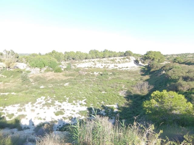 Ubebygd land til salgs i Rojales - € 70 000 (Ref: 4804520)